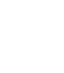 Stephen Nemeth White Logo